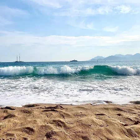 Elegant Proche Palais Des Festivals